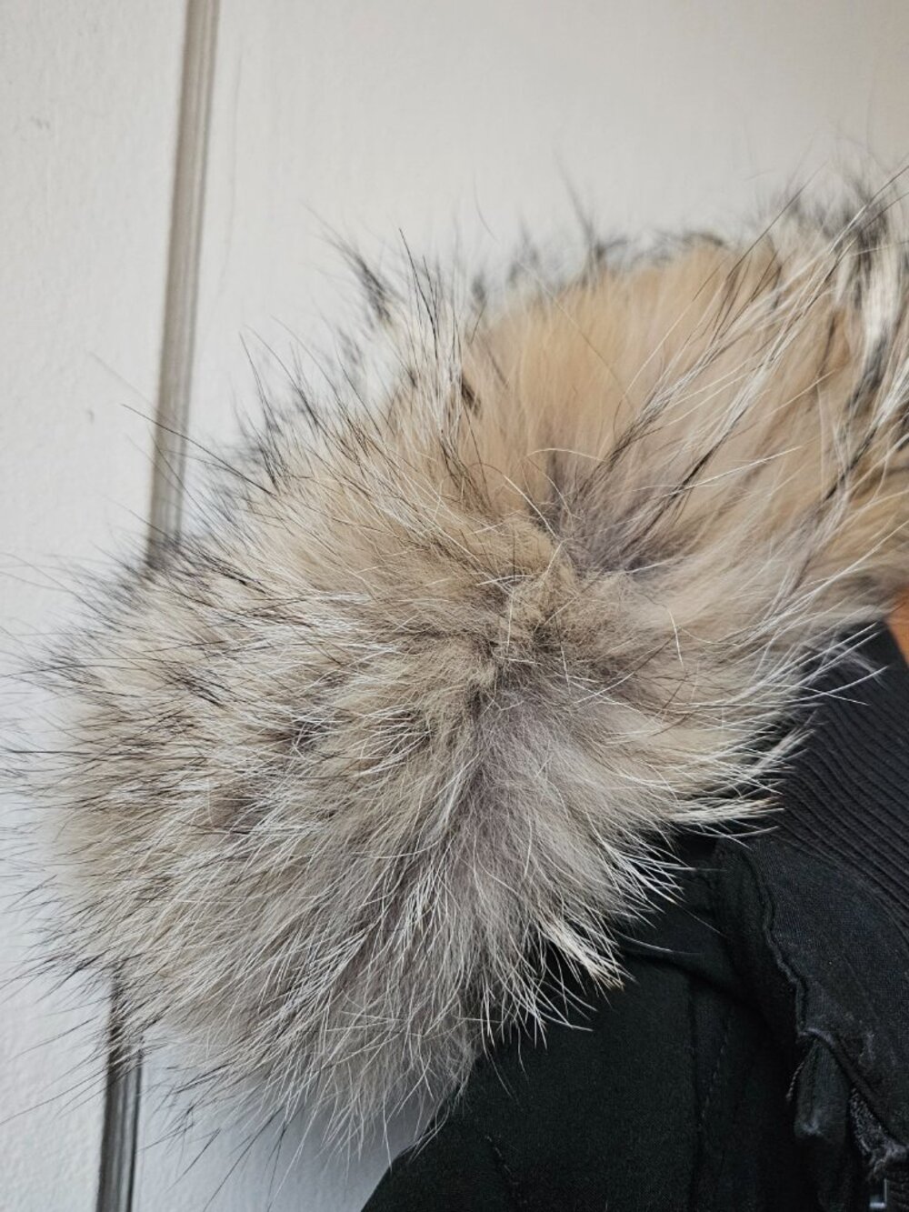 Authentic Canada Goose Bomber Jacket - Picture 6 of 13